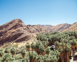 TREKKING THE INDIAN CANYONS